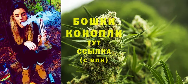 Канабис White Widow  Магас 